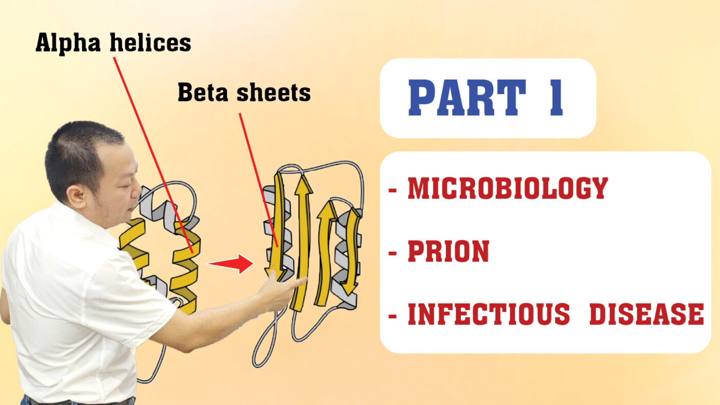 MICROBIOLOGY PRION INFECTIOUS  DISEASE PART 1 01